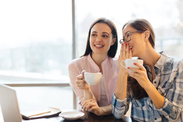 Young women in cafe — Stock Photo, Image