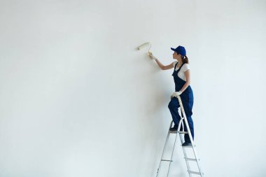 ev ressam boyama duvar rulo