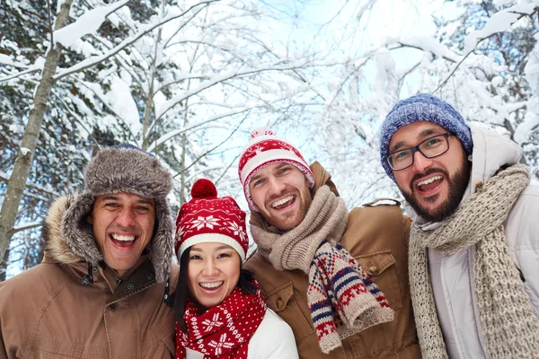 Vrienden in winter forest — Stockfoto