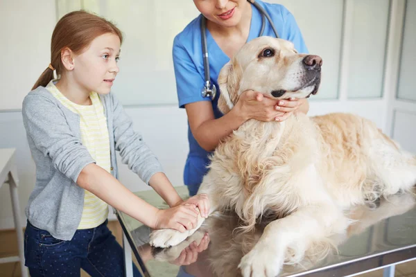Arzt und kleine Hündin umarmen Hund — Stockfoto