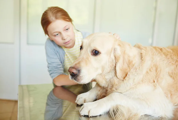 Flicka petting och lugnande hund — Stockfoto