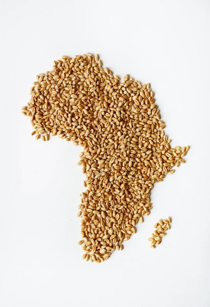 Heap of golden fresh grain — Stock Photo, Image