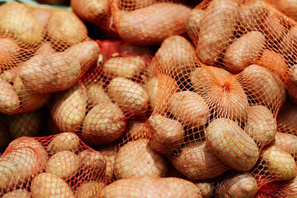 원시 젊은 감자 — 스톡 사진