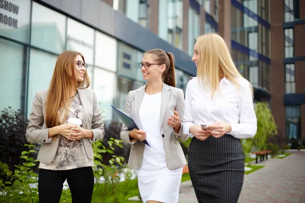 Female employees discussing — Stock Photo, Image