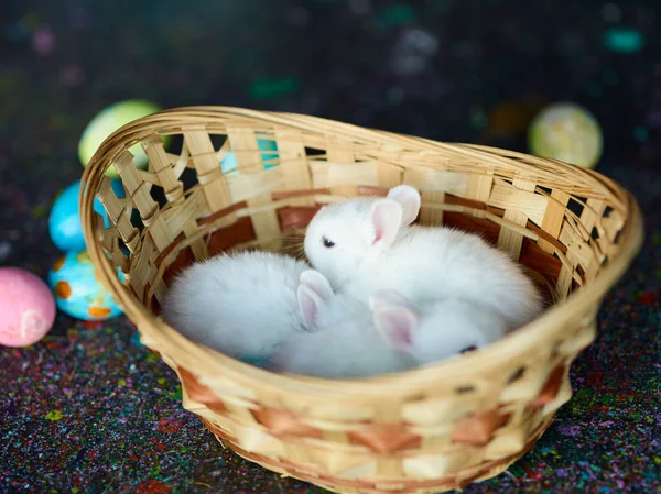 Basket with group of Easter rabbits — Stock Photo, Image