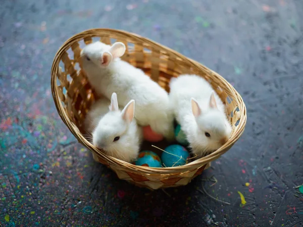 bunies and painted eggs