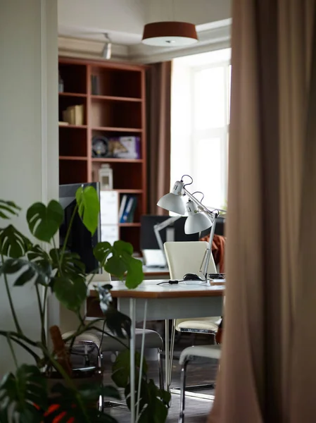Kahverengi Tonlarında Bitkiler Perdeler Ile Boş Ofis Odası Gibi — Stok fotoğraf