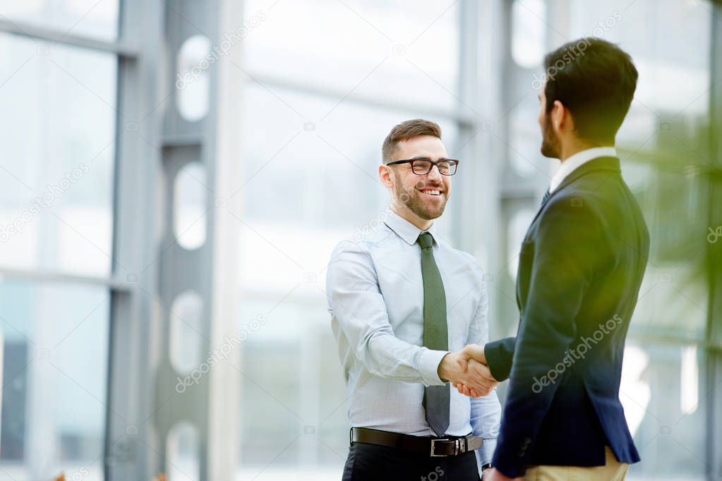 Business partners handshaking