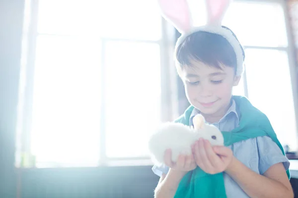 Дитина дивиться на кролика — стокове фото