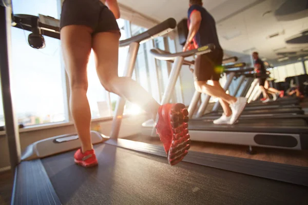 Vrouwelijke benen in korte broek en sportschoenen — Stockfoto