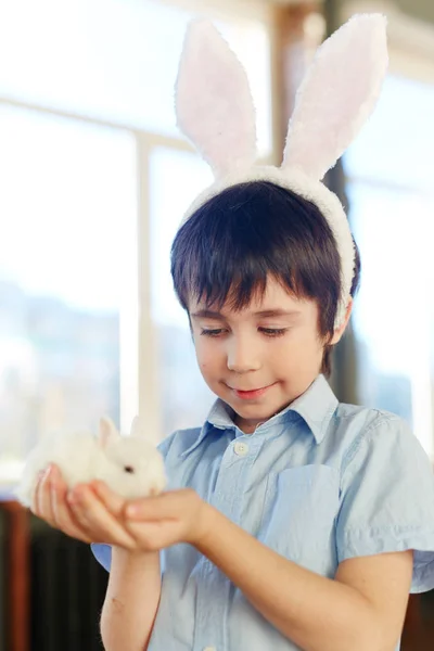 Boy looking at rabbit — Stock Photo, Image