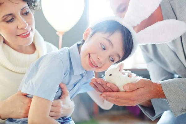 Smiling boy cuddling bunny — Stock Photo, Image