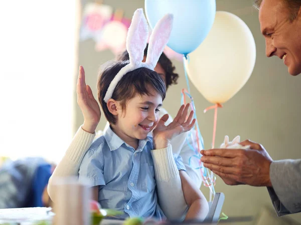 Boy looking at pet — Stock Photo, Image