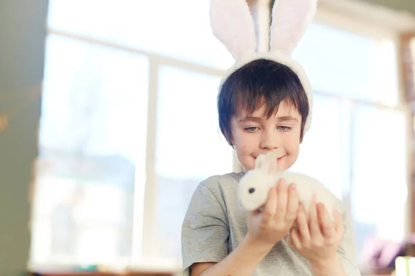 Boy holding cute bunny — Stock Photo, Image