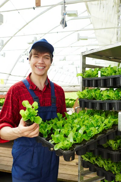 Küçük Tencere Yeşil Salata Ile Tutarak Üniformalı Genç Adam — Stok fotoğraf