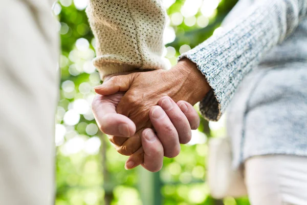 Händerna Amorösa Senior Par Promenad Naturlig Miljö — Stockfoto