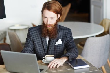 Meşgul tüccar ya da kafede çay tarafından ağ analisti