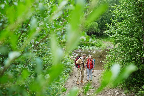 在旅途中谈论森林通路的年轻夫妇 — 图库照片