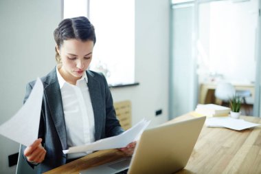 Çağdaş genç muhasebeci Office belgeleriyle çalışma