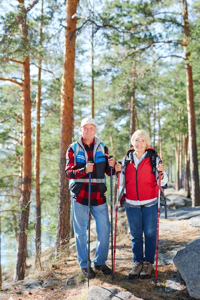 Sportovní Senioři Batohy Trekking Lese Víkend — Stock fotografie