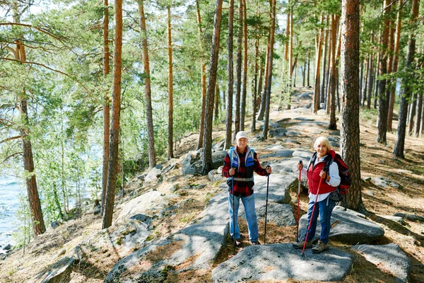 Kortárs Idősek Túrázás Erdőben Nyári Hétvégén — Stock Fotó