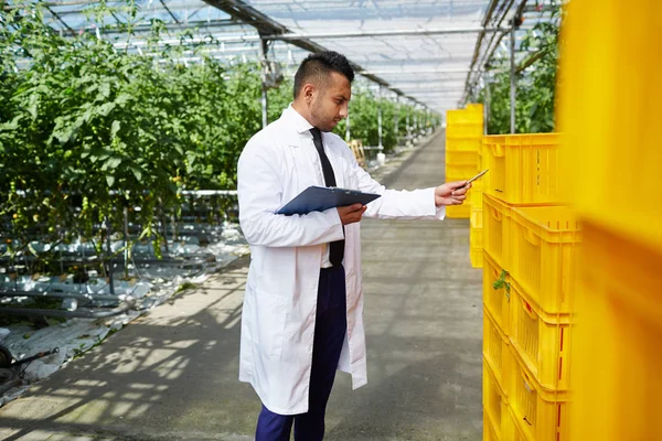 Junge Selektionistin Steht Vor Stapeln Von Kisten Mit Neuen Setzlingen — Stockfoto