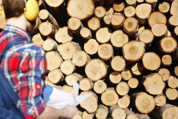 Montón Troncos Madera Cerca —  Fotos de Stock