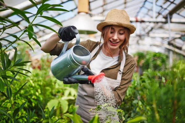 美丽的年轻女子的肖像穿着草帽享受工作在树苗圃花园 浇水植物使用金属罐头和微笑 — 图库照片