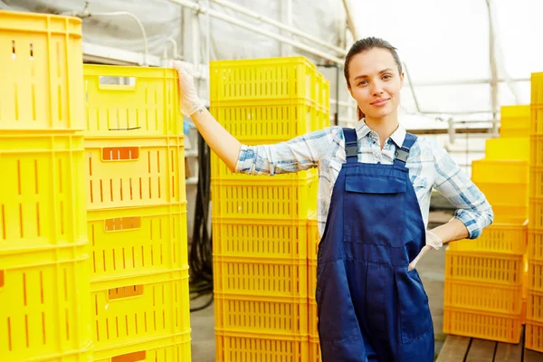 Сучасний Фермер Стоїть Стопах Пластикових Коробок Упакованим Врожаєм Продажу Ринку — стокове фото