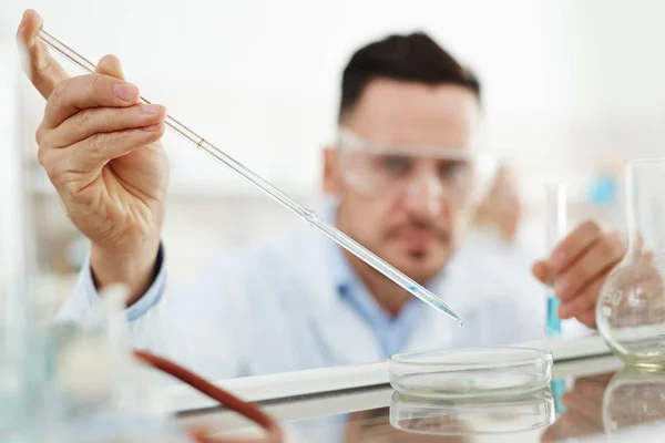 Kimyasal Deney Reaktanları Petri Dish Damlalık Odaklanmak Içine Bırakarak Performans — Stok fotoğraf