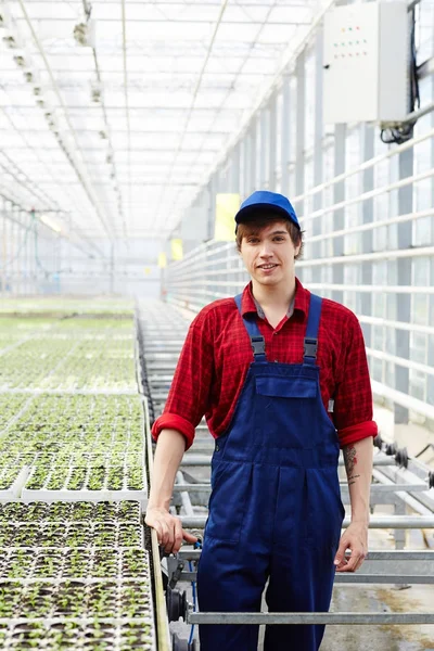 Jovem Agricultor Uniforme Trabalhador Estufa Cuidando Vegetação — Fotografia de Stock