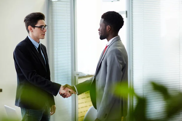 Successful Professionals Welcoming One Another Handshake — Stock Photo, Image