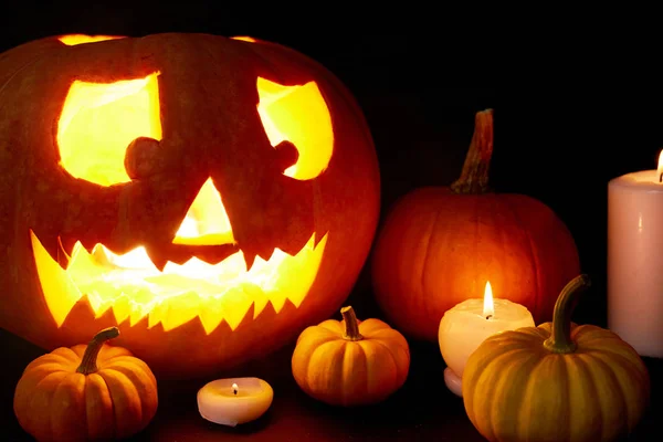 Olgun Kabaklar Mum Yakarak Çevrili Jack Lantern Oyulmuş — Stok fotoğraf