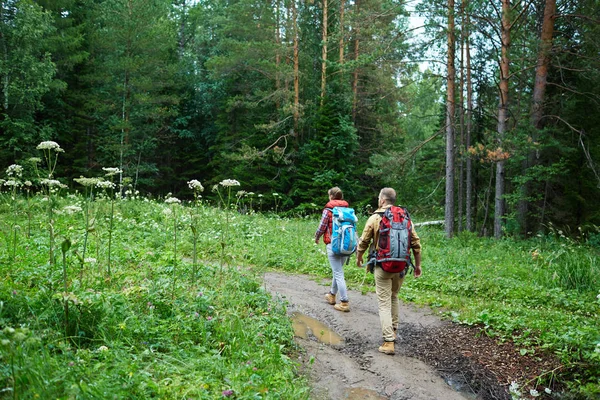 Mladí Cestovatelé Chůzi Hluboko Lese — Stock fotografie