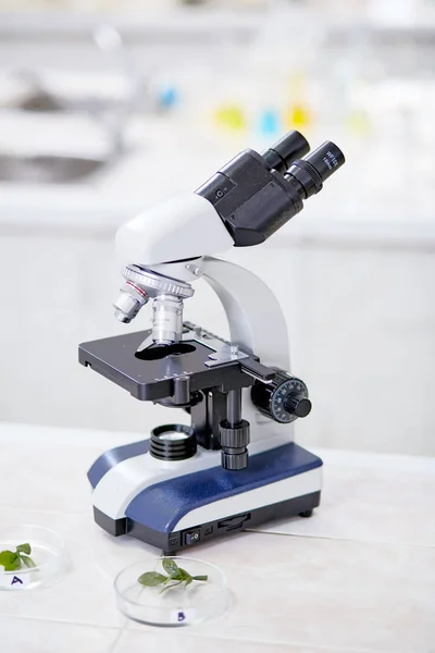 现代双目显微镜的特写镜头站在化学实验室的办公桌上 为进行实验而准备的培养皿中的幼苗 背景模糊 — 图库照片