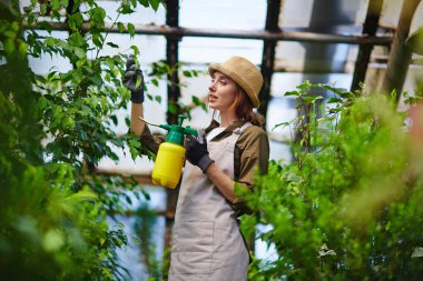 Yan görünümü sprey ağaçlar ve çalılar kimyasallar ile tedavi glasshouse, bitkilerde ile çalışma güzel genç kadının portresi olabilir ve yavaşça dokunaklı yeşil yaprakları