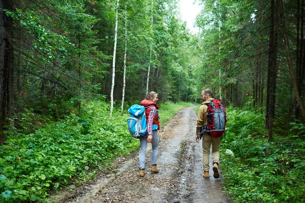 Coppia Moderna Con Zaini Che Passeggiano Nel Bosco — Foto Stock