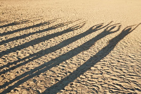 Σκιές Των Επτά Φίλους Υψωμένα Χέρια Έχοντας Διασκέδαση Στην Όχθη — Φωτογραφία Αρχείου