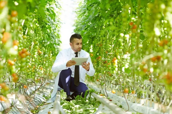 Giovane Scienziato Fiducioso Con Tablet Digitale Mano Seduto Fianchi Mentre — Foto Stock