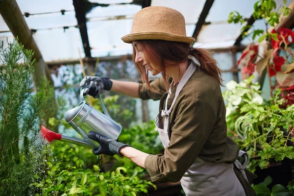 侧面图漂亮的年轻女子戴草帽享受工作在树苗圃花园 浇水植物使用金属罐头和微笑 — 图库照片