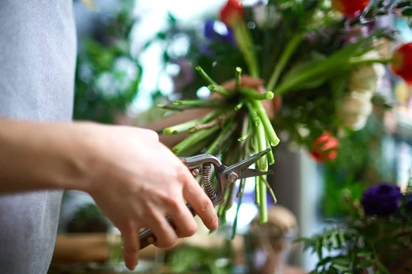Рука Людини Ножицями Ріжуть Квіткові Стебла — стокове фото