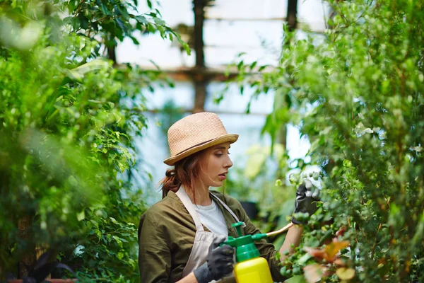 Stronie Widoku Portret Pięknej Młodej Kobiety Korzystających Pracy Roślin Szklarni — Zdjęcie stockowe