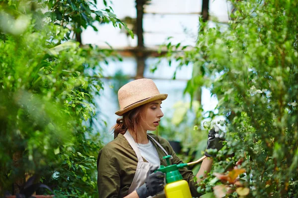 Vista Laterale Ritratto Bella Giovane Donna Godendo Lavorare Con Piante — Foto Stock