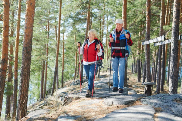 Senior Turista Megy Túrázás Erdőben — Stock Fotó