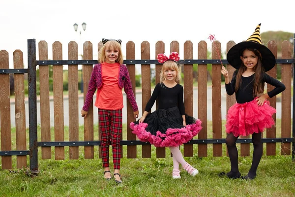 Guapas Con Disfraces Brujas Celebrando Halloween Aire Libre —  Fotos de Stock