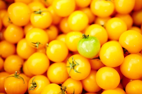 Green Tomatoe Heap Yellow Ones Marketplace — Stock Photo, Image