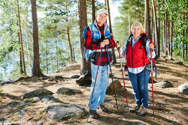 Trekking Par Njuter Sommardag Skogen — Stockfoto