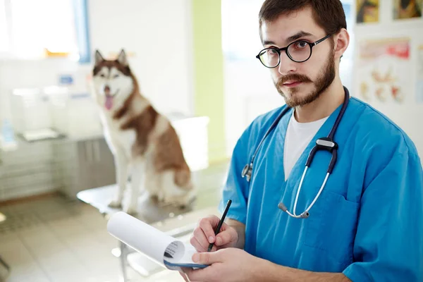 Veterinär Kliniker Skriva Anteckningar Husky Hunden Medicinsk Behandling — Stockfoto