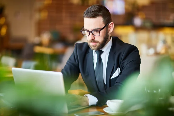 Contemporary Trader Analyzing Online Data — Stock Photo, Image