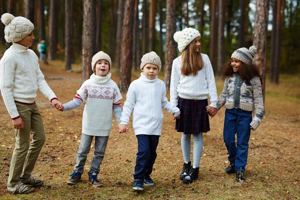 Grupo Niños Caminando Bosque Pinos Tomados Las Manos Cálido Día —  Fotos de Stock